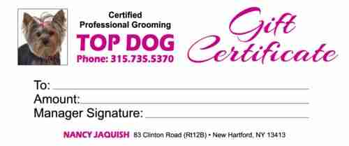thumbnail of Top Dog-Gift Certificates